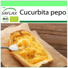 SAFLAX Garden to go - BIO - Zucca - Spaghetti - 5 semi - Cucurbita