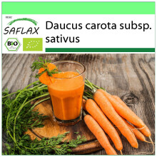 SAFLAX Garden to go - BIO - Carota - Early Nantes - 1500 semi - Daucus