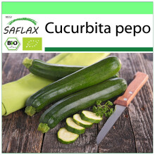 SAFLAX Garden to go - BIO - Zucchina - Nero di Milano - 6 semi - Cucurbita