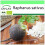 SAFLAX Garden to go - Rettich - Schwarzer - Raphanus - 100 Samen 1