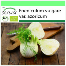 SAFLAX Garden to go - BIO - Finocchio - 100 semi - Foeniculum