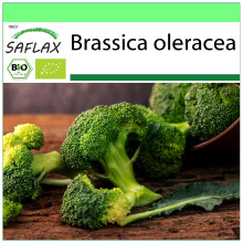 SAFLAX Garden to go - BIO - Broccolo - Calabrese - 100 semi - Brassica