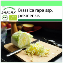 SAFLAX Garden to go - BIO - Cavolo cinese - Granat - 40 semi - Brassica
