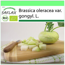 SAFLAX Garden to go - BIO - Cavolo rapa - Superschmelz - 20 semi - Brassica