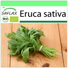 SAFLAX Garden to go - BIO - Rucola - 3000 semi - Eruca