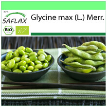 SAFLAX - Garden to go - BIO - Haricot - Edamame - 8 graines - Avec pot, couvercle climatique et substrat de culture - Glycine max (L.) Merr.