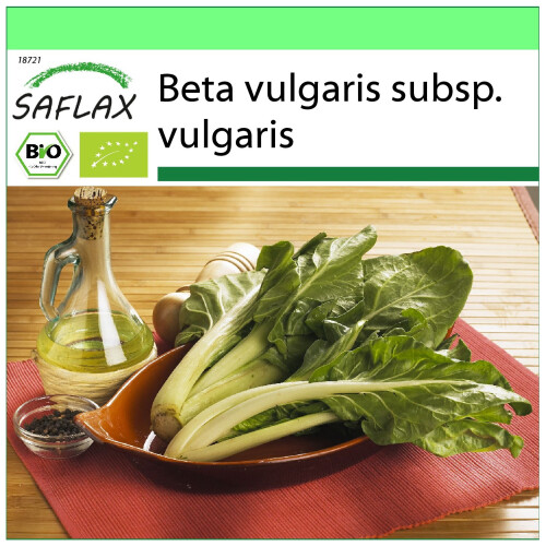 SAFLAX Garden to go - Schweizer Mangold - Beta - 150 Samen