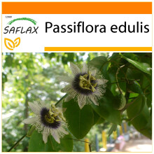 SAFLAX - Garden in the bag - Passion Fruit - 40 seeds - With growing substrate in a practical, self-erecting bag - Passiflora edulis