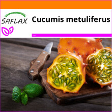 SAFLAX Garden in the bag - Sottaceto di corno di Kiwano - 10 semi - Cucumis