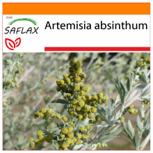 SAFLAX - Garden in the bag - Wormwood - 500 seeds - With growing substrate in a practical, self-erecting bag - Artemisia absinthum