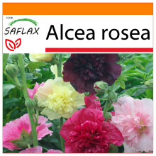 SAFLAX Garden in the bag - Hollyhocks si mescola - 100 semi - Alcea