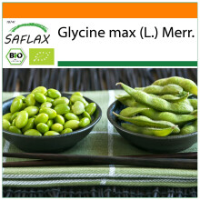 SAFLAX Garden in the bag - BIO - Soia - fagioli Edamame - 8 semi - Glycine