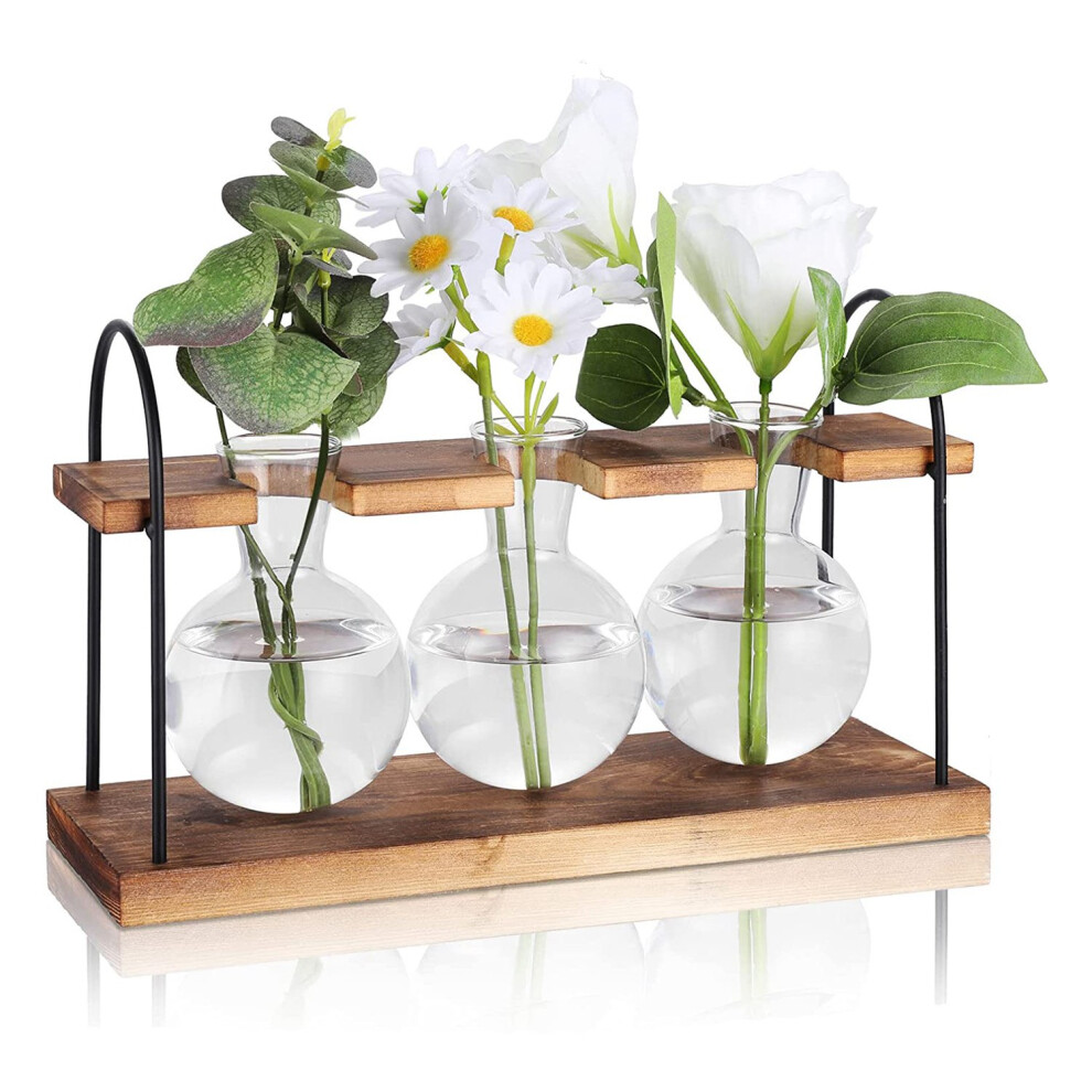 Station de propagation de plantes avec support en bois, stations de bureau pour terrarium, vase en verre pour bulbe de jardinière aérienne