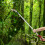 1.2-2.2m Telescopic Pruning Shear for Pruning and Sawing Branches 5