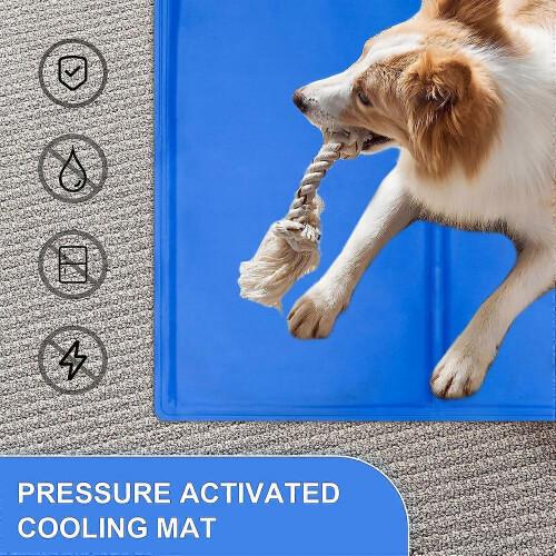 (As show, One size) Pet Mat - 50*65cm 2