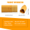 ζεύγη MT60 3,5 χιλ. 3-wire 3-pole Connector Set για RC ESC σε αρσενικό και θηλυκό βύσμα κινητήρα 8