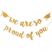 1 Set Eye-catching Gold-printed Glitter Graduation Banner for Party Decorations