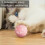 Smart 360 Degree Rotating Interactive Cat Toy Ball with LED Light and USB Charging 5