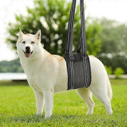 Dog Harness - Helps Older Dogs with Reduced Mobility, Arthritis ACL Black S 1