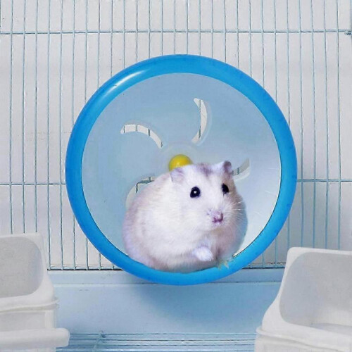 Silent Spinner Exercise Wheel for Small Pets - Hamster, Gerbil, Mice, Rat, Chinchilla Running Wheel. 1