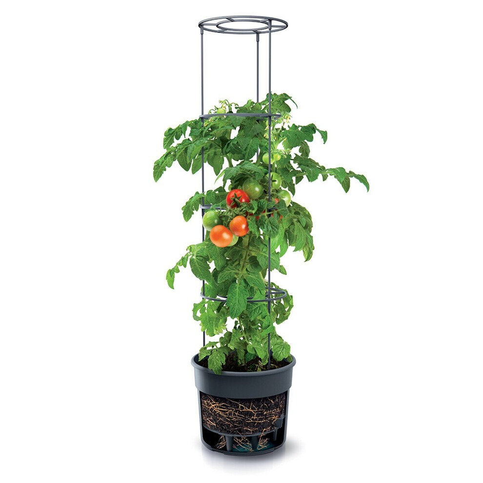 (Large - 400mm) Tomato Grower Tower Plastic Home Indoor/Outdoor Plant Veg Flower Pot-image-OPC-PHJKZR7-NEW