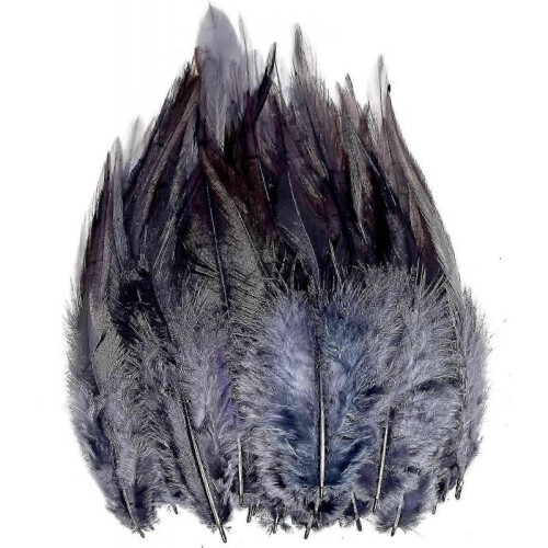 200pcs Feathers for Crafts