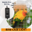 Bird Cage Heater Simulated Natural Environment Lighting Warming Lamp 8