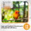 Bird Cage Heater Simulated Natural Environment Lighting Warming Lamp 9