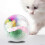 Interactive Cat and Kitten Play Ball Set 3