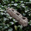 3-Section Hanging Outdoor Bird Cage for Garden. 3