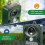 Solar/USB Powered Waterproof Ultrasonic Animal Deterrent, Adjustable Frequency Pet Repellent Device. 2