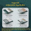 Automatic Intelligent Hatching Machine Automatic Egg Incubator 15 Eggs with Turner Candler Temperature Control AU Plug 5
