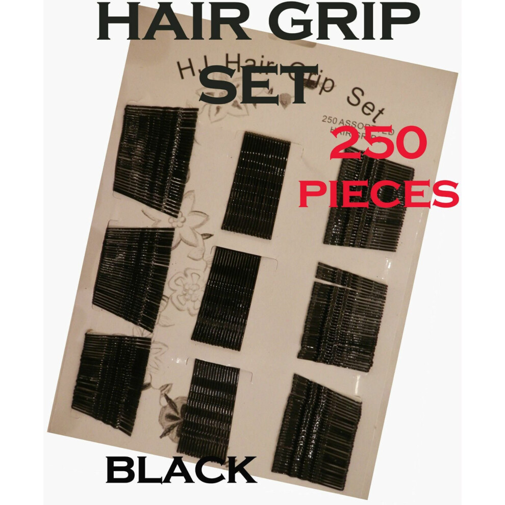 Hair Grips 250 In Packet Hairdressing Hair Slides Black Salon Clips Kirby Pins 5056866900003