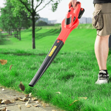 Cordless leaf Blower With 20v Lithium-Ion Battery and Fast Charger DPT