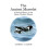 The Ancient Murrelet 1