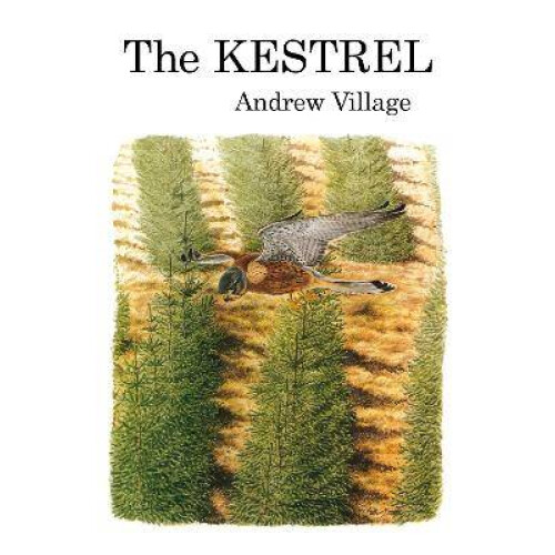 The Kestrel