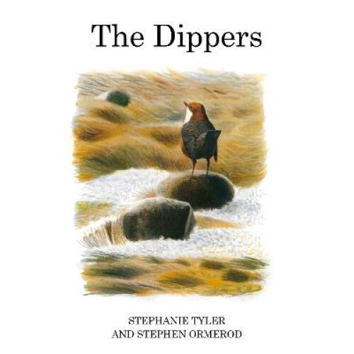 The Dippers
