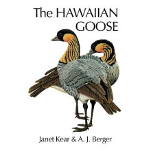 The Hawaiian Goose