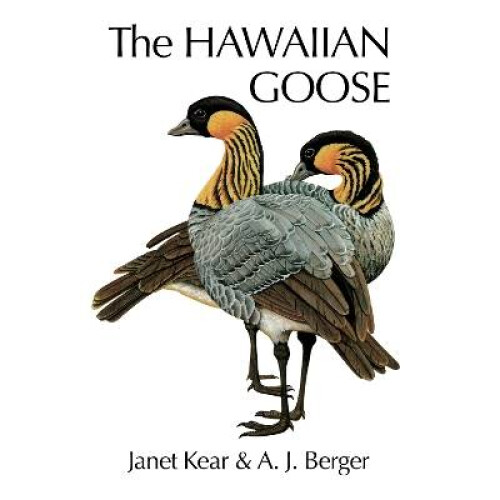 The Hawaiian Goose