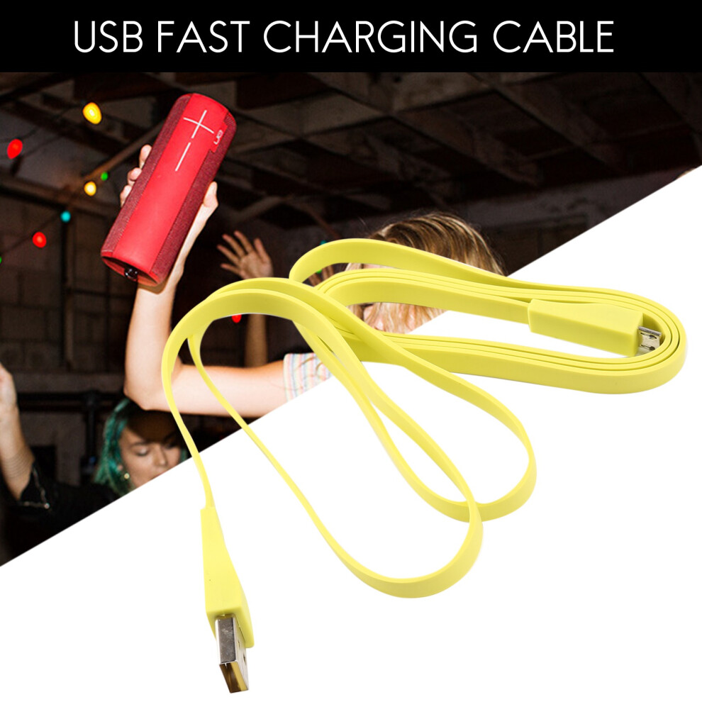 Usb Fast Charging Cable Charger Adapter For Ue Boom 2 4851792441320