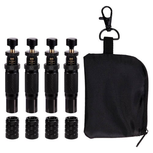 ,10-30 PSI/0,7-2 bar verstellbares Kit 2