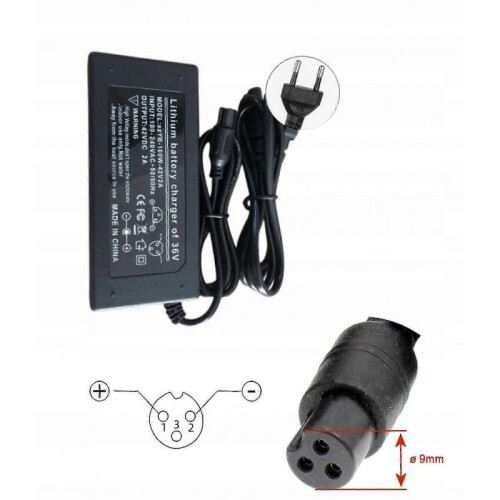 Hoverboard Charger Board Electric Skateboard 1