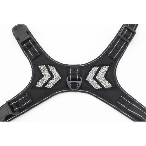 Leash Harness Cat Puppy Small Dog Racing A 1