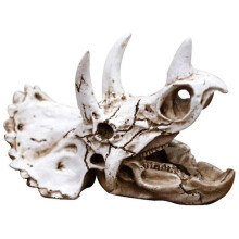 Reptiles, amphibians, hidden caves, aquariums, dinosaurs, triangles, skeletons.