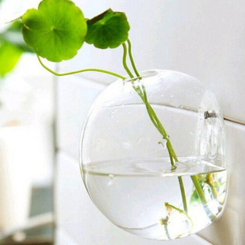 Hydroponic Wall Hanging Vase Garden Decor 1