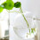 Hydroponic Wall Hanging Vase Garden Decor 6