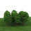 60pcs Plastic Tree Model Railroad Train Scenery 1:150 18