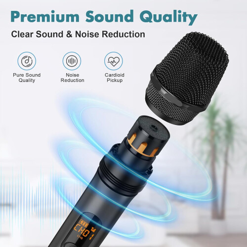 Wireless Two Microphone System with Dual-Channel Receiver, Microphone for Karaoke, Party Singing, DJ 1