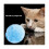 (As show, One size) Rolling Ball,automatic Roller Ball Rolling Ball Pet Interactive Roller Ball Fit To Keep Friend Happ 4