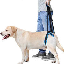 (As show, One size) Portable Dog Lift Harness with Support Strap to Help Dogs with Weak Hind Legs for Back and Recovery for Small and Large Dogs-M